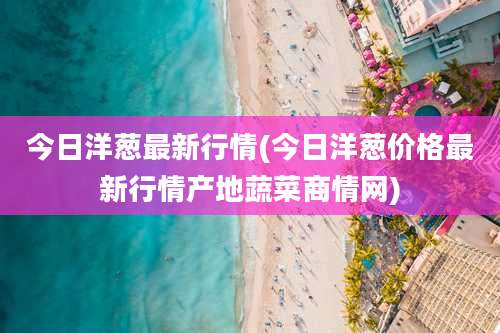 今日洋葱最新行情(今日洋葱价格最新行情产地蔬菜商情网)