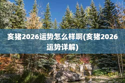 亥猪2026运势怎么样啊(亥猪2026运势详解)