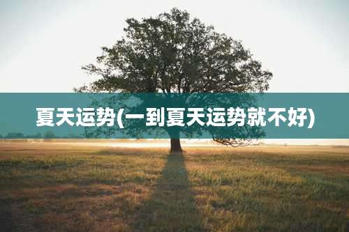 夏天运势(一到夏天运势就不好)