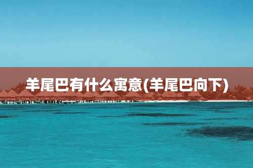 羊尾巴有什么寓意(羊尾巴向下)