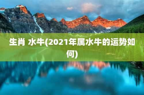 生肖 水牛(2021年属水牛的运势如何)
