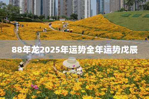 88年龙2025年运势全年运势戊辰