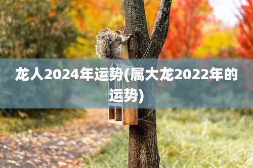 龙人2024年运势(属大龙2022年的运势)