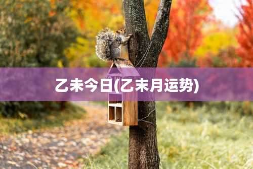 乙未今日(乙末月运势)
