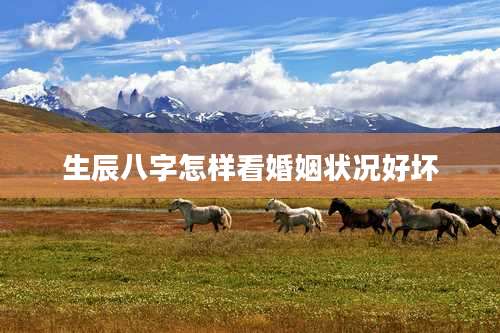 生辰八字怎样看婚姻状况好坏