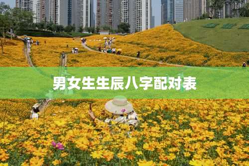 男女生生辰八字配对表