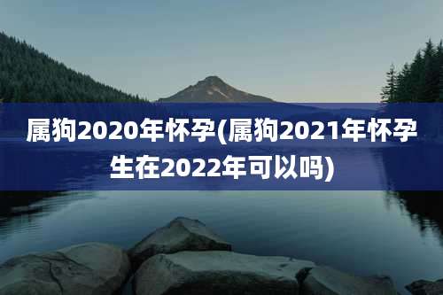 属狗2020年怀孕(属狗2021年怀孕生在2022年可以吗)
