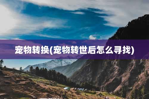 宠物转换(宠物转世后怎么寻找)