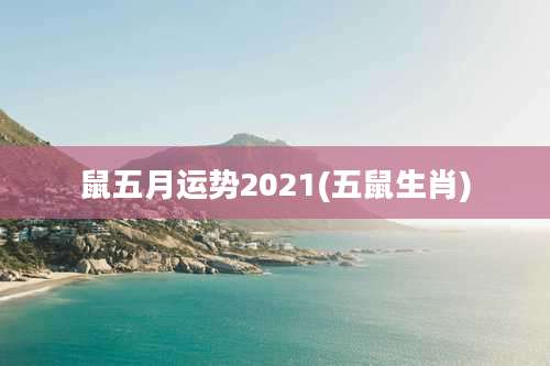鼠五月运势2021(五鼠生肖)