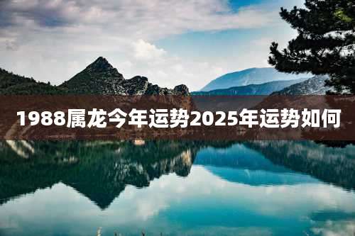 1988属龙今年运势2025年运势如何