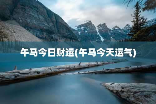 午马今日财运(午马今天运气)