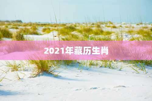 2021年藏历生肖