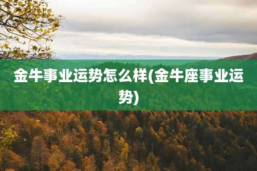 金牛事业运势怎么样(金牛座事业运势)