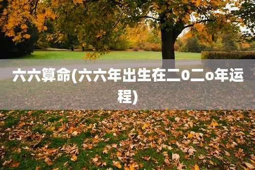 六六算命(六六年出生在二0二o年运程)