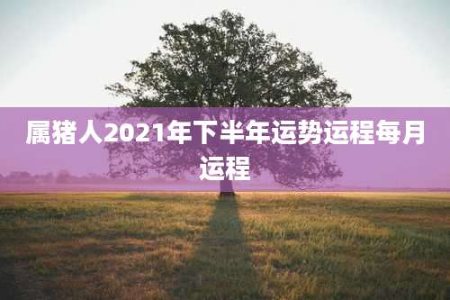 属猪人2021年下半年运势运程每月运程