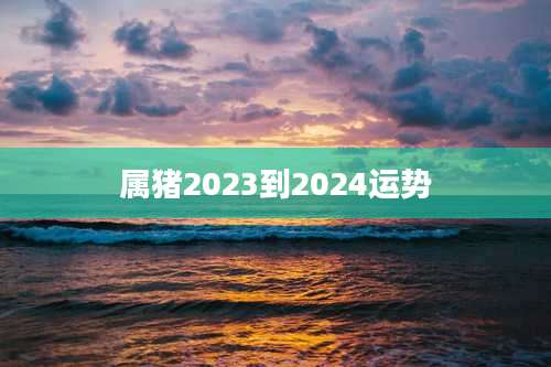 属猪2023到2024运势