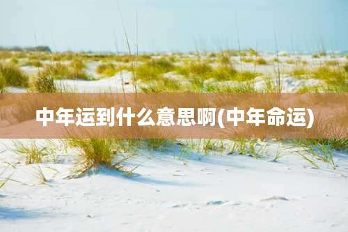 中年运到什么意思啊(中年命运)