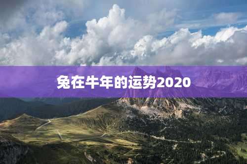 兔在牛年的运势2020