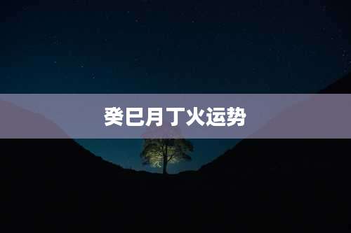 癸巳月丁火运势