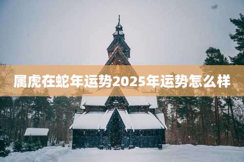 属虎在蛇年运势2025年运势怎么样