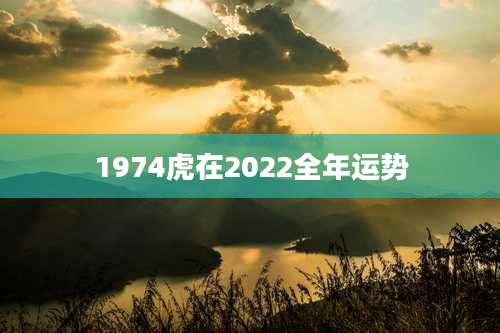 1974虎在2022全年运势