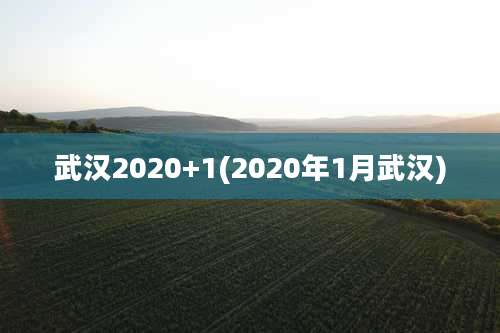 武汉2020+1(2020年1月武汉)