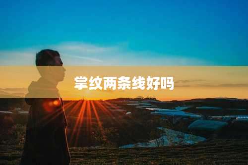 掌纹两条线好吗