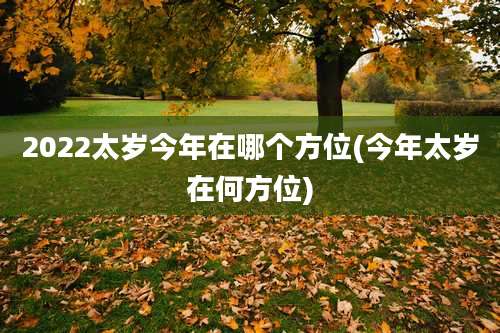 2022太岁今年在哪个方位(今年太岁在何方位)