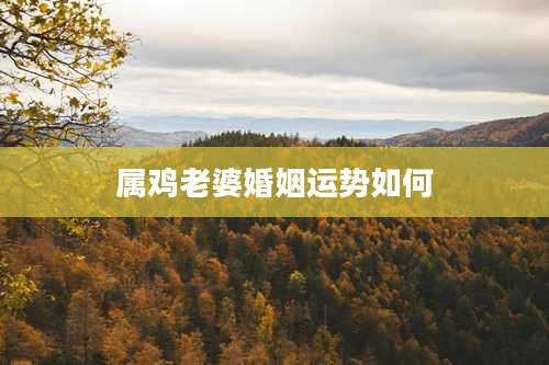 属鸡老婆婚姻运势如何