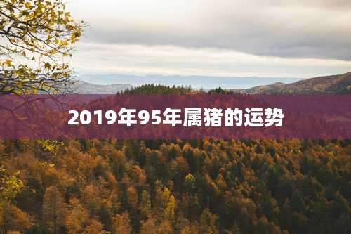 2019年95年属猪的运势