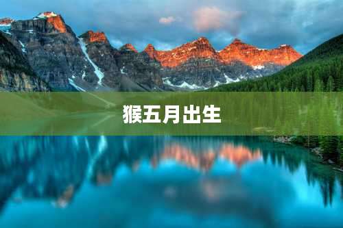 猴五月出生
