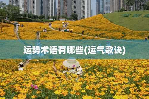 运势术语有哪些(运气歌诀)