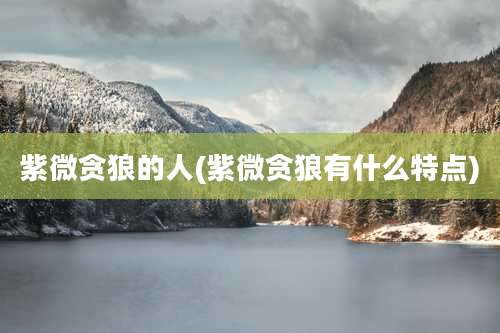 紫微贪狼的人(紫微贪狼有什么特点)