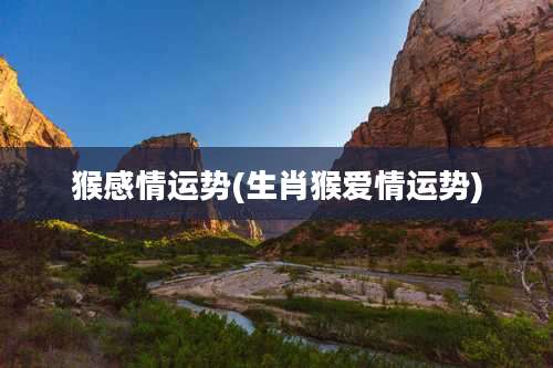 猴感情运势(生肖猴爱情运势)