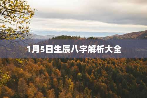 1月5日生辰八字解析大全