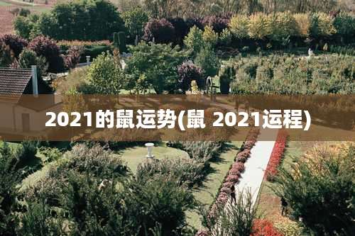 2021的鼠运势(鼠 2021运程)