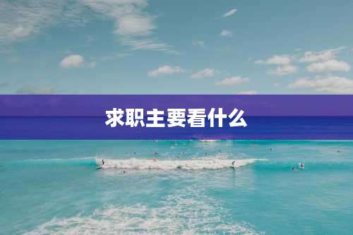 求职主要看什么