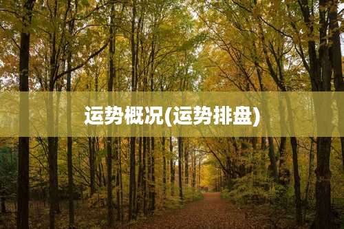 运势概况(运势排盘)