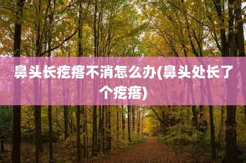 鼻头长疙瘩不消怎么办(鼻头处长了个疙瘩)