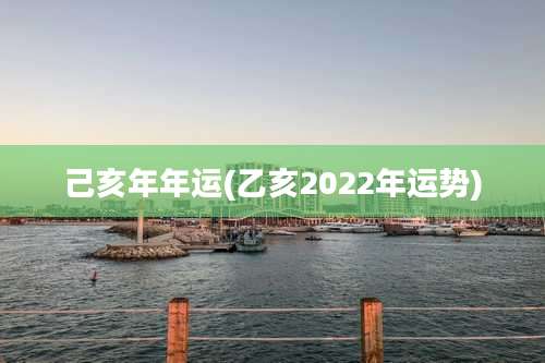 己亥年年运(乙亥2022年运势)