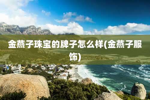 金燕子珠宝的牌子怎么样(金燕子服饰)