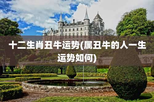 十二生肖丑牛运势(属丑牛的人一生运势如何)