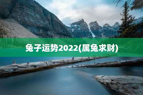 兔子运势2022(属兔求财)