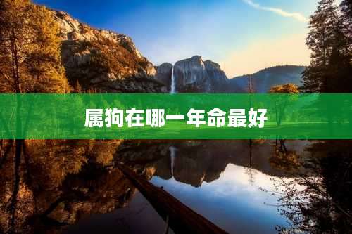 属狗在哪一年命最好