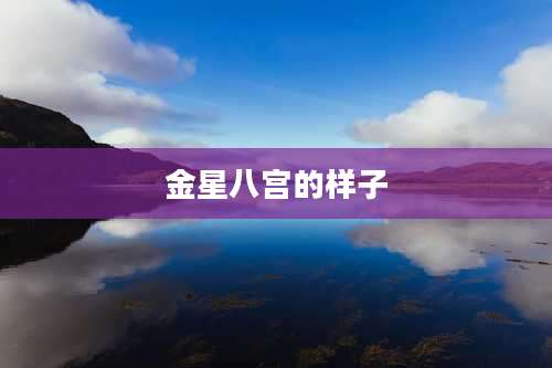 金星八宫的样子