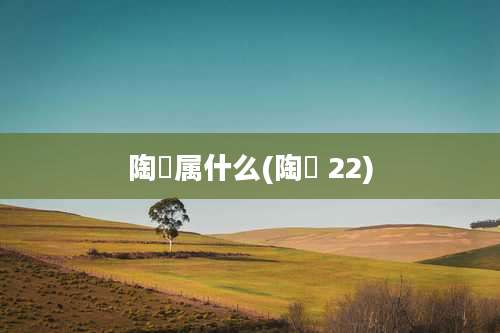 陶喆属什么(陶喆 22)