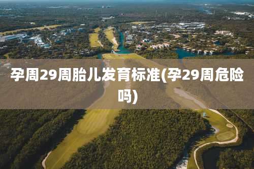 孕周29周胎儿发育标准(孕29周危险吗)