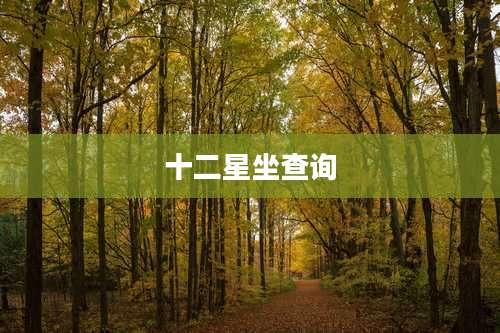 十二星坐查询