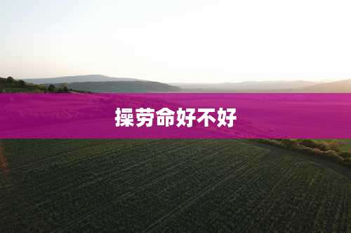 操劳命好不好