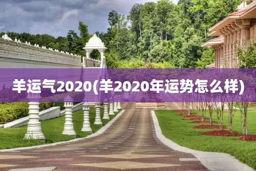 羊运气2020(羊2020年运势怎么样)